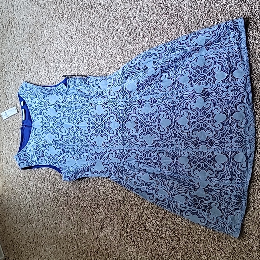 NWT NY & Co vintage lace overlay sleeveless mini dress, size 10